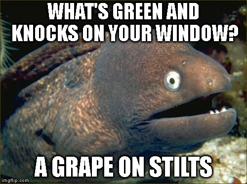 Bad Joke Eel Meme | WHAT'S GREEN AND KNOCKS ON YOUR WINDOW? A GRAPE ON STILTS | image tagged in memes,bad joke eel | made w/ Imgflip meme maker