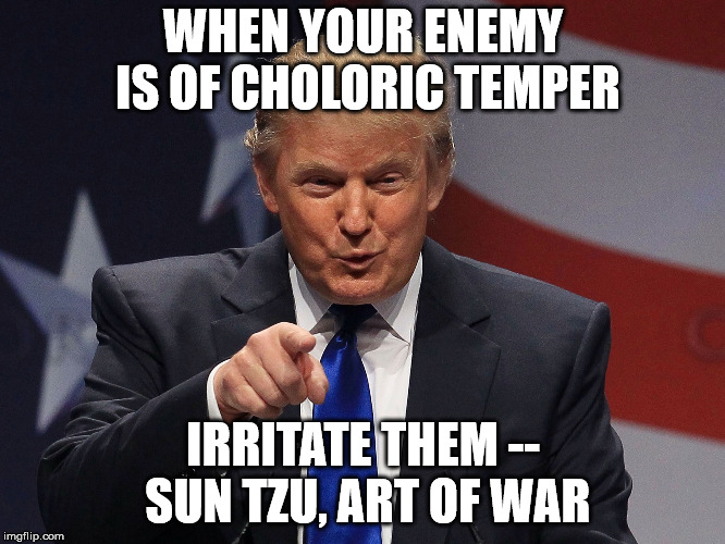 Donald Trump  | WHEN YOUR ENEMY IS OF CHOLORIC TEMPER; IRRITATE THEM -- SUN TZU, ART OF WAR | image tagged in donald trump | made w/ Imgflip meme maker