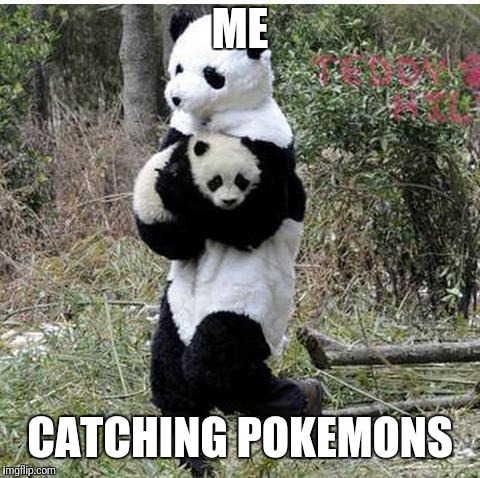 stolen panda | ME; CATCHING POKEMONS | image tagged in stolen panda | made w/ Imgflip meme maker