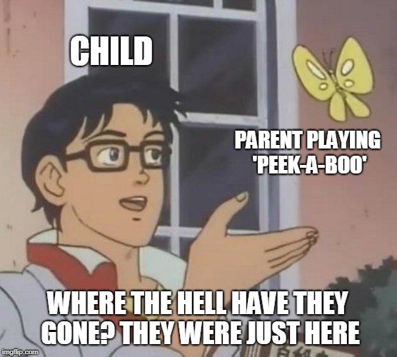 Do the children really believe they have gone? | CHILD; PARENT PLAYING 'PEEK-A-BOO'; WHERE THE HELL HAVE THEY GONE? THEY WERE JUST HERE | image tagged in memes,is this a pigeon,funny,babies,peekaboo | made w/ Imgflip meme maker