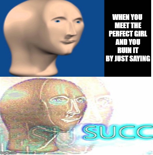 S U C C is love S U C C is life | WHEN YOU MEET THE PERFECT GIRL AND YOU RUIN IT BY JUST SAYING | image tagged in dank memes | made w/ Imgflip meme maker