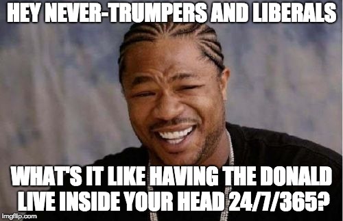 You need to get out more often, stop reading Facebook, stop watching the news, and enjoy life. The sky isn't falling. | HEY NEVER-TRUMPERS AND LIBERALS; WHAT'S IT LIKE HAVING THE DONALD LIVE INSIDE YOUR HEAD 24/7/365? | image tagged in memes,yo dawg heard you,trump,stupid liberals | made w/ Imgflip meme maker