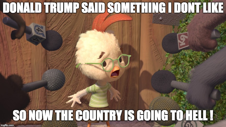 CNN + MSNBC = Chicken Little | DONALD TRUMP SAID SOMETHING I DONT LIKE; SO NOW THE COUNTRY IS GOING TO HELL ! | image tagged in chicken little | made w/ Imgflip meme maker