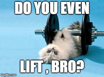 DO YOU EVEN; LIFT , BRO? | image tagged in kw | made w/ Imgflip meme maker
