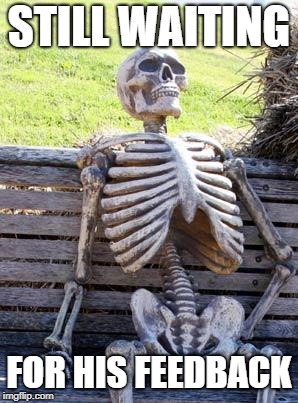 Waiting Skeleton | STILL WAITING; FOR HIS FEEDBACK | image tagged in memes,waiting skeleton | made w/ Imgflip meme maker