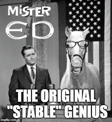 The Original Stable Genius | THE ORIGINAL "STABLE" GENIUS | image tagged in mr ed,trump,stable genius,politics | made w/ Imgflip meme maker