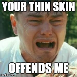 Irony or Hypocrisy? |  YOUR THIN SKIN; OFFENDS ME | image tagged in crybaby liberal leonardo | made w/ Imgflip meme maker
