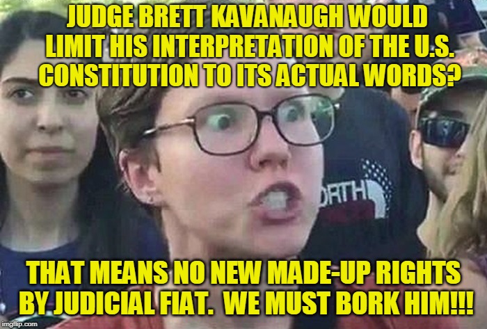 Do Unto Him as Thou Didst to Robert Bork | JUDGE BRETT KAVANAUGH WOULD LIMIT HIS INTERPRETATION OF THE U.S. CONSTITUTION TO ITS ACTUAL WORDS? THAT MEANS NO NEW MADE-UP RIGHTS BY JUDICIAL FIAT.  WE MUST BORK HIM!!! | image tagged in triggered liberal,brett kavanaugh,scotus,supreme court | made w/ Imgflip meme maker