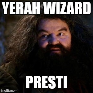 You're a wizard harry - Imgflip