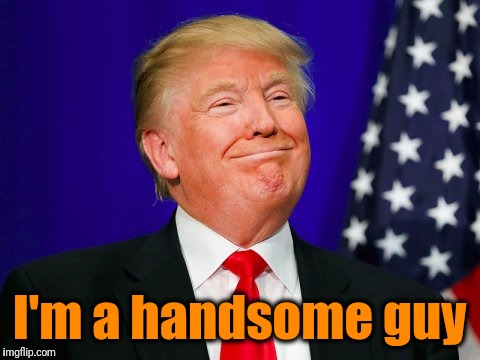 Trump Smile | I'm a handsome guy | image tagged in trump smile | made w/ Imgflip meme maker