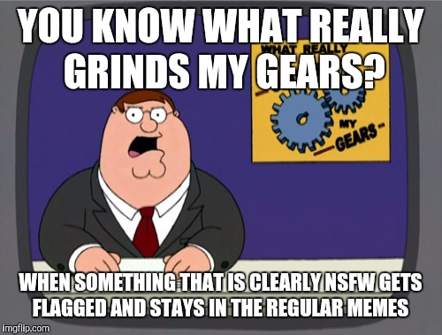 You guys are so going to get me in trouble at work  | YOU KNOW WHAT REALLY GRINDS MY GEARS? WHEN SOMETHING THAT IS CLEARLY NSFW GETS FLAGGED AND STAYS IN THE REGULAR MEMES | image tagged in memes,peter griffin news,you know what really grinds my gears,flags,flagging | made w/ Imgflip meme maker