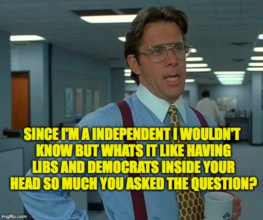 That Would Be Great Meme | SINCE I'M A INDEPENDENT I WOULDN'T KNOW BUT WHATS IT LIKE HAVING LIBS AND DEMOCRATS INSIDE YOUR HEAD SO MUCH YOU ASKED THE QUESTION? | image tagged in memes,that would be great | made w/ Imgflip meme maker