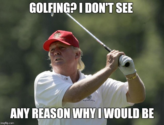 Trump golf | GOLFING? I DON'T SEE; ANY REASON WHY I WOULD BE | image tagged in trump golf | made w/ Imgflip meme maker