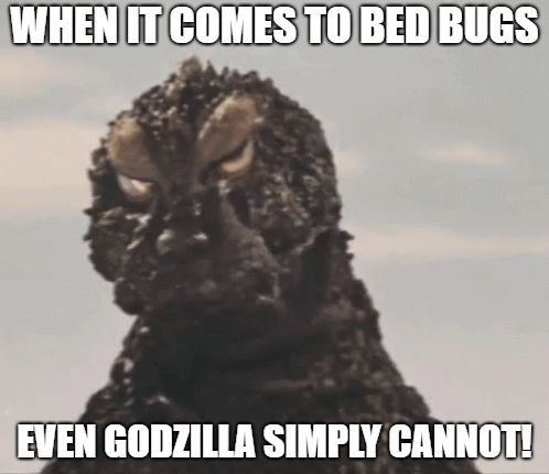 Godzilla Has Bed Bugs | WHEN IT COMES TO BED BUGS; EVEN GODZILLA SIMPLY CANNOT! | image tagged in godzilla,simply cannot,bed bugs,angry,monsters | made w/ Imgflip meme maker