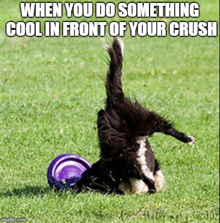 WHEN YOU DO SOMETHING COOL IN FRONT OF YOUR CRUSH | image tagged in faceplant | made w/ Imgflip meme maker