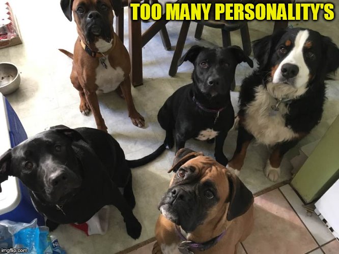 TOO MANY PERSONALITY'S | made w/ Imgflip meme maker