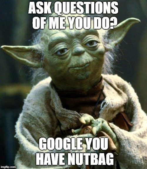 Star Wars Yoda Meme | ASK QUESTIONS OF ME YOU DO? GOOGLE YOU HAVE NUTBAG | image tagged in memes,star wars yoda | made w/ Imgflip meme maker