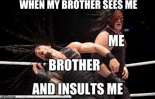 Fabulous WWE | WHEN MY BROTHER SEES ME; ME; BROTHER; AND INSULTS ME | image tagged in fabulous wwe | made w/ Imgflip meme maker