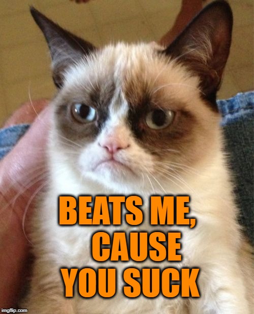 Grumpy Cat Meme | BEATS ME,   CAUSE YOU SUCK | image tagged in memes,grumpy cat | made w/ Imgflip meme maker