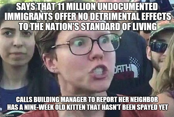 Triggered Liberal | SAYS THAT 11 MILLION UNDOCUMENTED IMMIGRANTS OFFER NO DETRIMENTAL EFFECTS TO THE NATION'S STANDARD OF LIVING; CALLS BUILDING MANAGER TO REPORT HER NEIGHBOR HAS A NINE-WEEK OLD KITTEN THAT HASN'T BEEN SPAYED YET | image tagged in triggered liberal,liberal hypocrisy | made w/ Imgflip meme maker