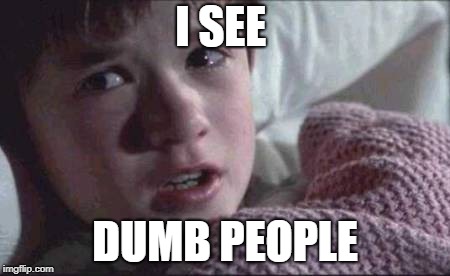 I See Dead People | I SEE; DUMB PEOPLE | image tagged in memes,i see dead people | made w/ Imgflip meme maker