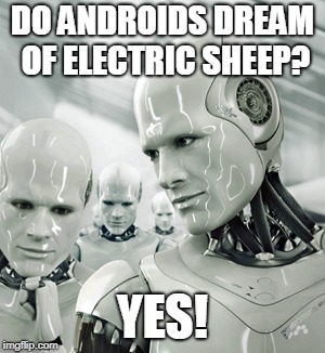 Robots Meme | DO ANDROIDS DREAM OF ELECTRIC SHEEP? YES! | image tagged in memes,robots | made w/ Imgflip meme maker