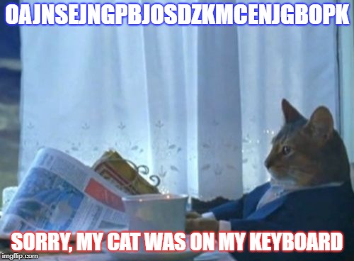I Should Buy A Boat Cat | OAJNSEJNGPBJOSDZKMCENJGBOPK; SORRY, MY CAT WAS ON MY KEYBOARD | image tagged in memes,i should buy a boat cat | made w/ Imgflip meme maker