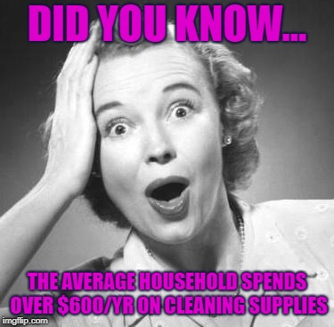 surprised woman | DID YOU KNOW... THE AVERAGE HOUSEHOLD SPENDS OVER $600/YR ON CLEANING SUPPLIES | image tagged in surprised woman | made w/ Imgflip meme maker