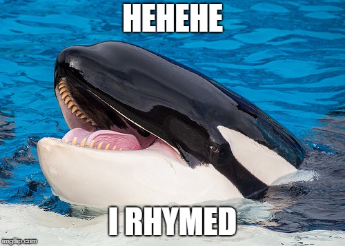 Hehehe orca | HEHEHE; I RHYMED | image tagged in hehehe orca | made w/ Imgflip meme maker