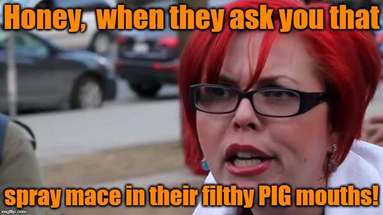  triggered | Honey,  when they ask you that spray mace in their filthy PIG mouths! | image tagged in triggered | made w/ Imgflip meme maker