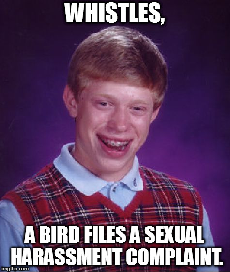Bad Luck Brian | WHISTLES, A BIRD FILES A SEXUAL HARASSMENT COMPLAINT. | image tagged in memes,bad luck brian | made w/ Imgflip meme maker