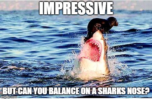 IMPRESSIVE BUT CAN YOU BALANCE ON A SHARKS NOSE? | made w/ Imgflip meme maker