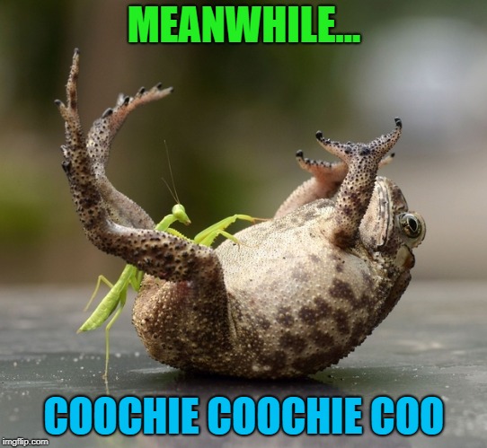 MEANWHILE... COOCHIE COOCHIE COO | made w/ Imgflip meme maker