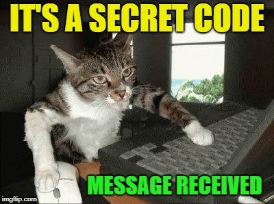 IT'S A SECRET CODE MESSAGE RECEIVED | made w/ Imgflip meme maker