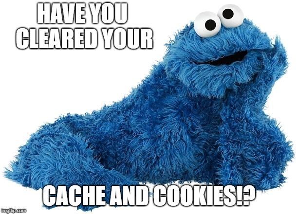 Cookie Monster | HAVE YOU CLEARED YOUR; CACHE AND COOKIES!? | image tagged in cookie monster | made w/ Imgflip meme maker