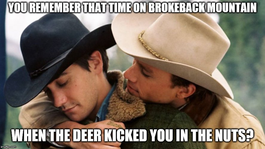 Brokeback | YOU REMEMBER THAT TIME ON BROKEBACK MOUNTAIN; WHEN THE DEER KICKED YOU IN THE NUTS? | image tagged in brokeback | made w/ Imgflip meme maker