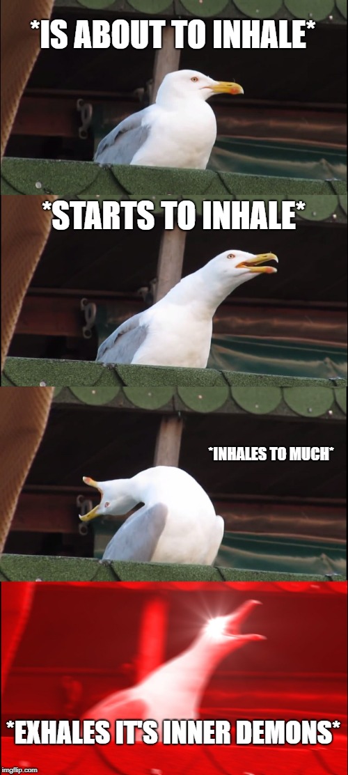 Inhaling Seagull | *IS ABOUT TO INHALE*; *STARTS TO INHALE*; *INHALES TO MUCH*; *EXHALES IT'S INNER DEMONS* | image tagged in memes,inhaling seagull | made w/ Imgflip meme maker