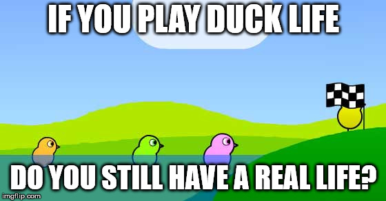 IF YOU PLAY DUCK LIFE; DO YOU STILL HAVE A REAL LIFE? | image tagged in duck life | made w/ Imgflip meme maker