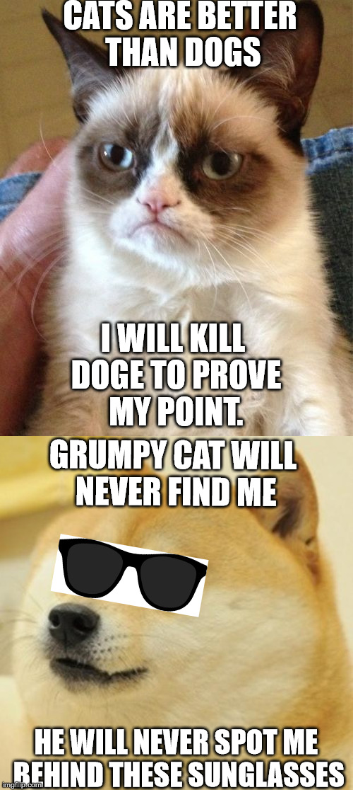 Grumpy Cat vs Doge | CATS ARE BETTER THAN DOGS; I WILL KILL DOGE TO PROVE MY POINT. GRUMPY CAT WILL NEVER FIND ME; HE WILL NEVER SPOT ME BEHIND THESE SUNGLASSES | image tagged in grumpy cat,doge,memes | made w/ Imgflip meme maker