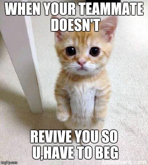 Fortnite struggles | WHEN YOUR TEAMMATE DOESN'T; REVIVE YOU SO U,HAVE TO BEG | image tagged in memes,cute cat | made w/ Imgflip meme maker