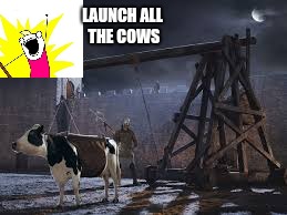 Moooooooooooooo | LAUNCH ALL THE COWS | image tagged in memes,okay,x all the y,monty python,ilikepie314159265358979 | made w/ Imgflip meme maker
