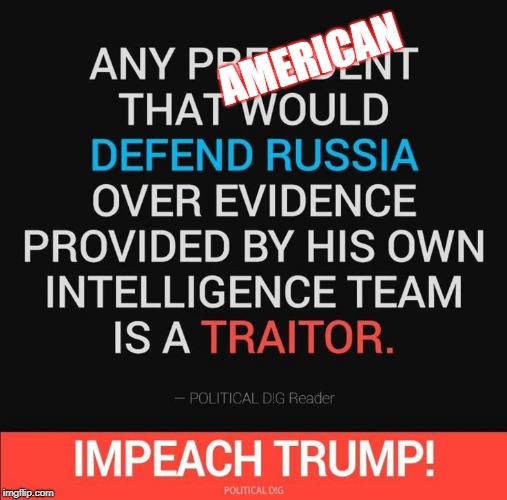 Traitor | AMERICAN | image tagged in traitor,trump,impeach | made w/ Imgflip meme maker
