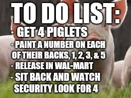 My bucket list summed up | TO DO LIST:; · GET 4 PIGLETS; · PAINT A NUMBER ON EACH OF THEIR BACKS, 1, 2, 3, & 5; · RELEASE IN WAL-MART; · SIT BACK AND WATCH SECURITY LOOK FOR 4 | image tagged in pigs,lol,walmart,memes,to do list,ilikepie314159265358979 | made w/ Imgflip meme maker
