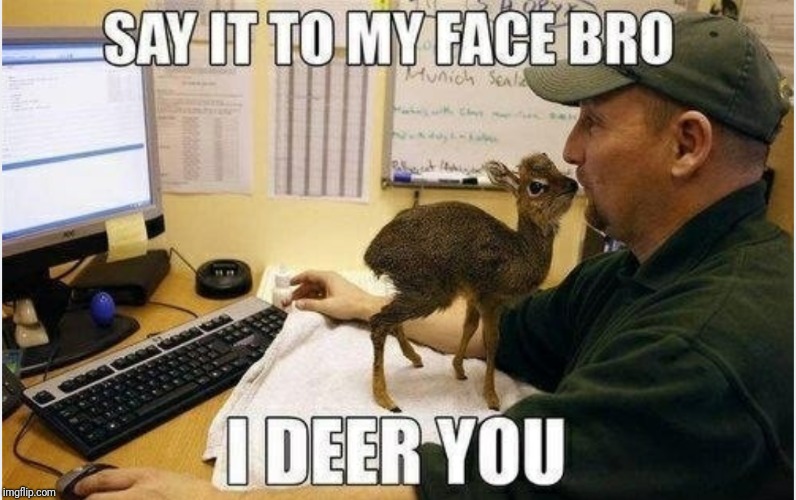 The internet finds the strangest pictures... :) | SAY IT TO MY FACE BRO; I DEER YOU | image tagged in deer,bad pun,memes,ilikepie314159265358979 | made w/ Imgflip meme maker