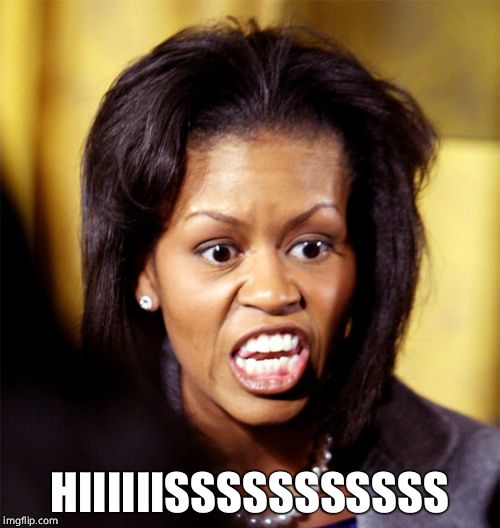 Michelle Obama Lookalike | HIIIIIISSSSSSSSSSS | image tagged in michelle obama lookalike | made w/ Imgflip meme maker