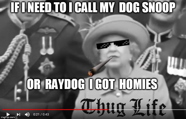 queen thug | IF I NEED TO I CALL MY  DOG SNOOP; OR  RAYDOG  I GOT  HOMIES | image tagged in queen got  homies,thug life homie | made w/ Imgflip meme maker