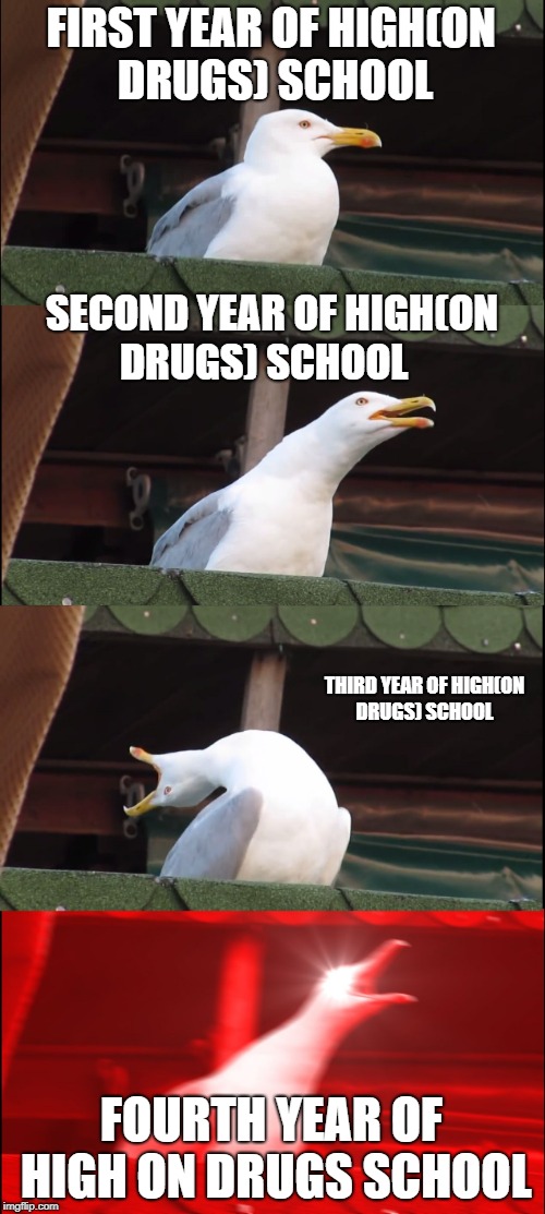 Inhaling Seagull Meme | FIRST YEAR OF HIGH(ON DRUGS) SCHOOL; SECOND YEAR OF HIGH(ON DRUGS) SCHOOL; THIRD YEAR OF HIGH(ON DRUGS) SCHOOL; FOURTH YEAR OF HIGH ON DRUGS SCHOOL | image tagged in memes,inhaling seagull | made w/ Imgflip meme maker