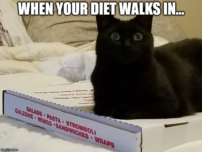 When your diet walks in... | WHEN YOUR DIET WALKS IN... | image tagged in cats,diet,pizza,cheating,gym,weight loss | made w/ Imgflip meme maker