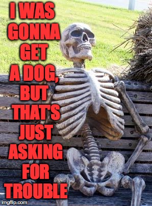 'cause he's made of bones | I WAS GONNA GET A DOG, BUT THAT'S JUST ASKING FOR TROUBLE | image tagged in memes,waiting skeleton,dog | made w/ Imgflip meme maker