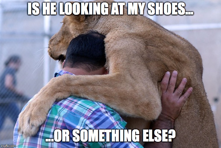 IS HE LOOKING AT MY SHOES... ...OR SOMETHING ELSE? | image tagged in man lion tango close hold | made w/ Imgflip meme maker